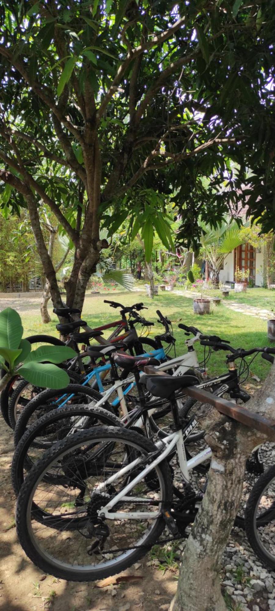 Hotel Blue Garden Yogyakarta Bangunjiwo Exterior foto